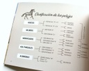 Seamos todos caballos Pelajes criollos en patagonia - Jorge Piccini